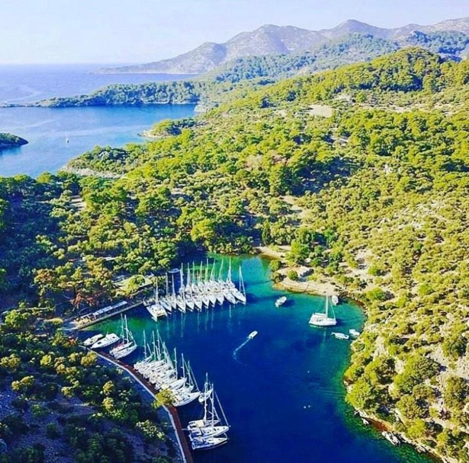 Green Forest Holiday Village Ölüdeniz Eksteriør billede