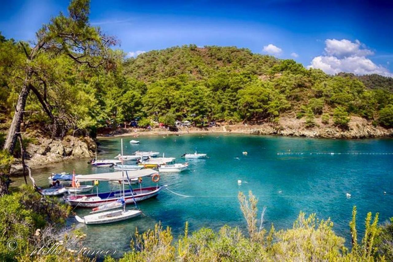 Green Forest Holiday Village Ölüdeniz Eksteriør billede